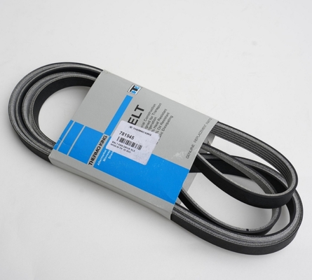 781945 THERMO KING Kayış Slxe Slxi Spectrum için