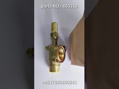 665318 THERMO KING orijinal yedek parçalar VALVE- kamyon için emiş buzdolabı soğutma sistemi spa