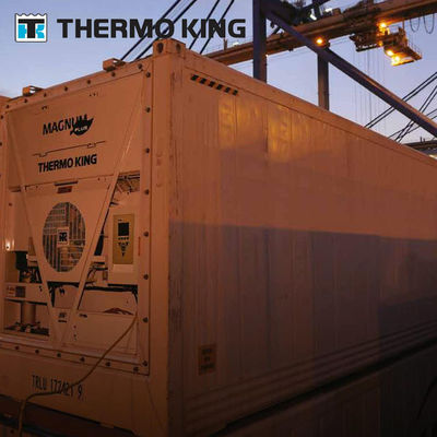 MP4000 THERMO KING Konteyner Soğutma Birimi Magnum Plus