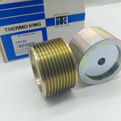 TS16949 Thermo King Soğutma Üniteleri 709183 Kayış Gerdirici