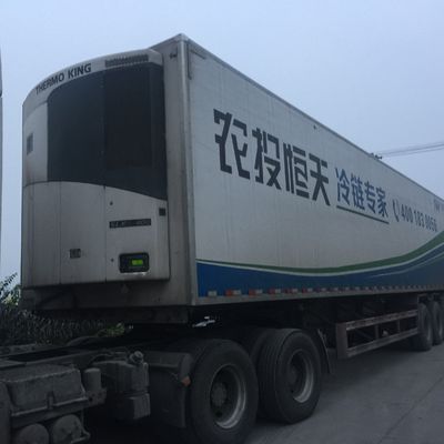 Thermo King 0 Celsius SLXI 300 Gıdaları Soğutmak İçin Dondurucu