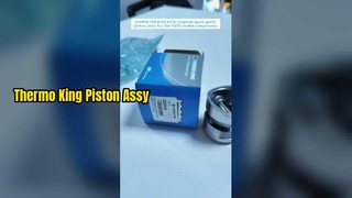 220850 THERMO KING orijinal yedek parça piston takımı